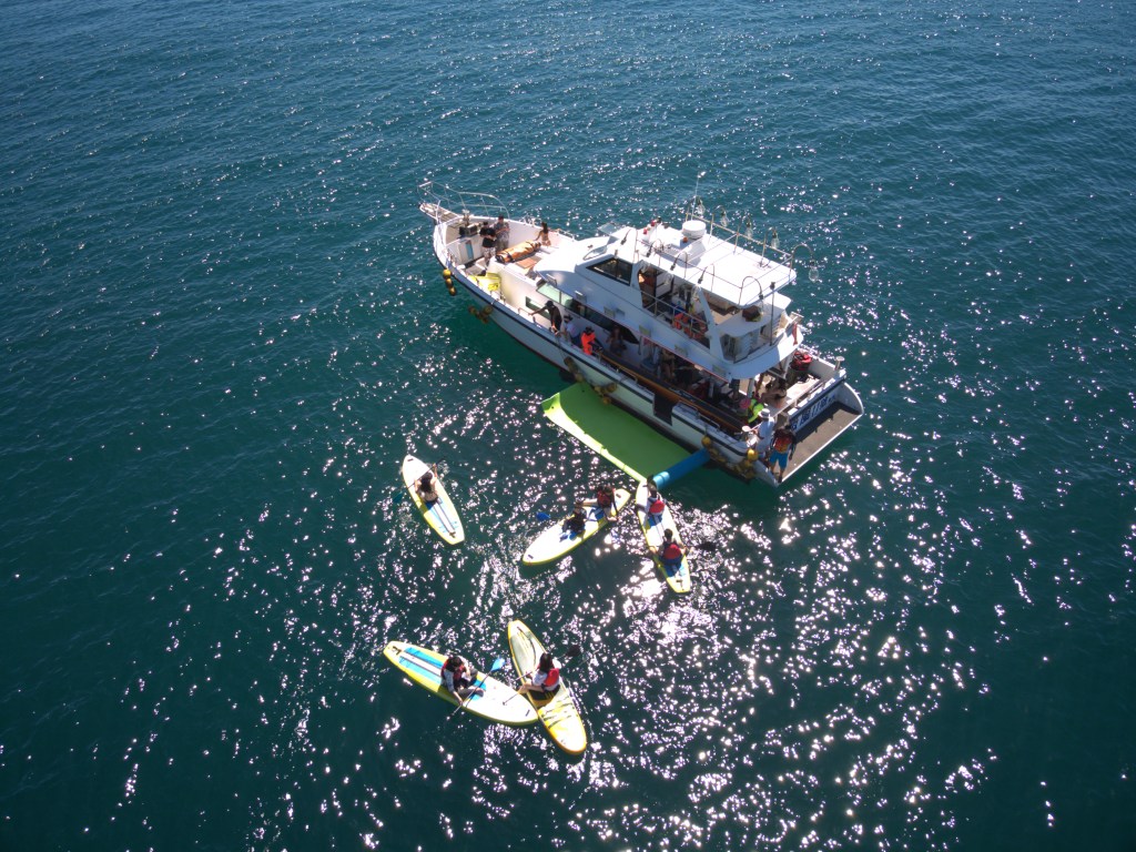 【水旅遊】SUP教練推薦理哥!包船出海SUP團!海中央SUP,跳水、浮淺、導覽,基隆嶼包船海上SUP+和平島導覽活動|基隆嶼SUP|新北包船sup|北海岸SUP|遊艇包船SUP|新北水上活動|理哥評價