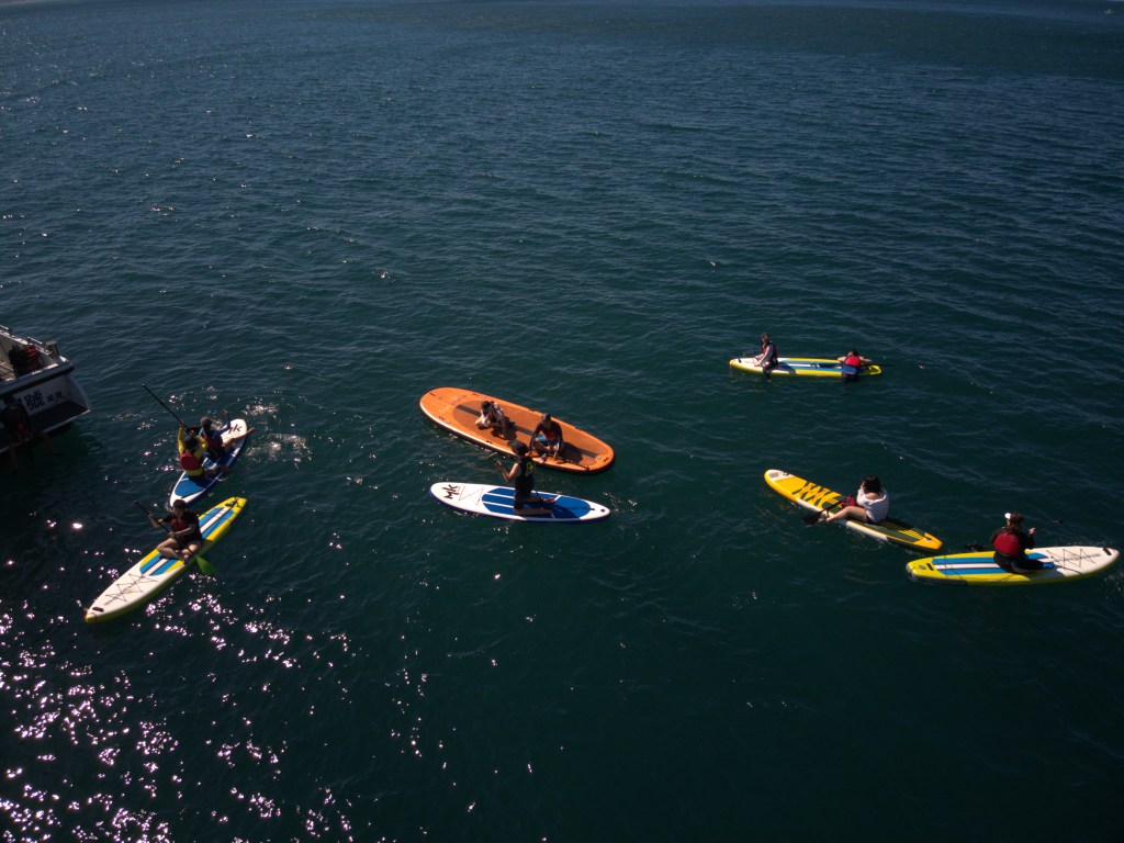 【水旅遊】SUP教練推薦理哥!包船出海SUP團!海中央SUP,跳水、浮淺、導覽,基隆嶼包船海上SUP+和平島導覽活動|基隆嶼SUP|新北包船sup|北海岸SUP|遊艇包船SUP|新北水上活動|理哥評價